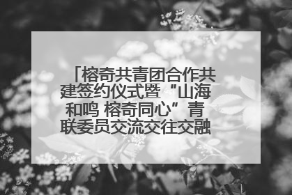 榕奇共青团合作共建签约仪式暨“山海和鸣 榕奇同心”青联委员交流交往交融活动在福州举行