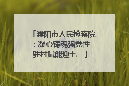 濮阳市人民检察院：凝心铸魂强党性 驻村赋能迎七一
