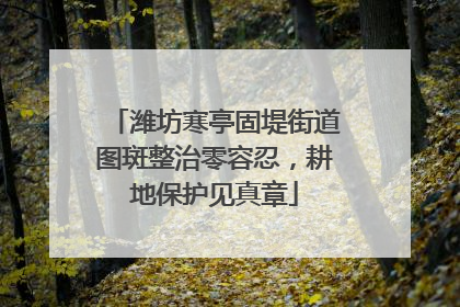 潍坊寒亭固堤街道图斑整治零容忍，耕地保护见真章