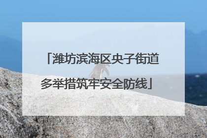潍坊滨海区央子街道多举措筑牢安全防线