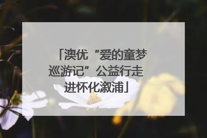 澳优“爱的童梦巡游记”公益行走进怀化溆浦