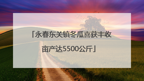 永春东关镇冬瓜喜获丰收 亩产达5500公斤