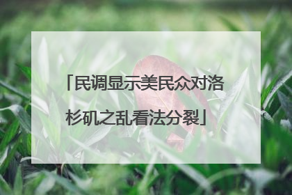 民调显示美民众对洛杉矶之乱看法分裂