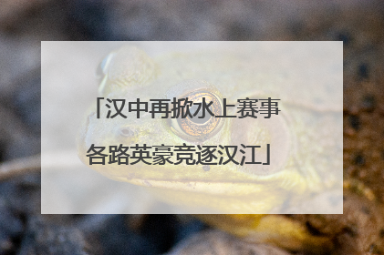 汉中再掀水上赛事 各路英豪竞逐汉江
