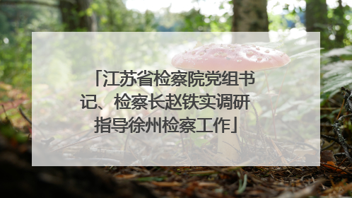 江苏省检察院党组书记、检察长赵铁实调研指导徐州检察工作