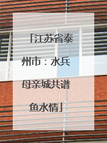 江苏省泰州市：水兵母亲城共谱鱼水情