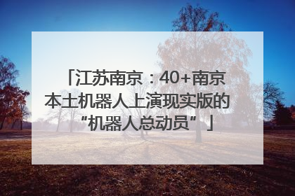 江苏南京：40+南京本土机器人上演现实版的“机器人总动员”