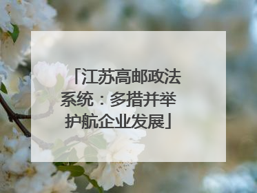 江苏高邮政法系统：多措并举护航企业发展