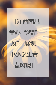 江西南昌举办“鸿鹄展” 展现中小学生青春风貌