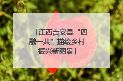 江西吉安县“四融一共”描绘乡村振兴新图景