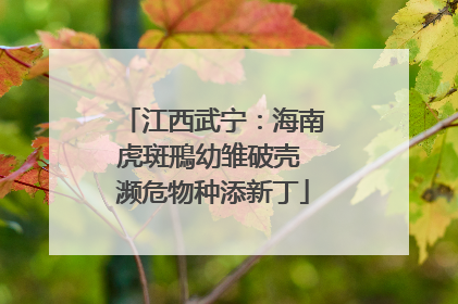 江西武宁：海南虎斑鳽幼雏破壳 濒危物种添新丁