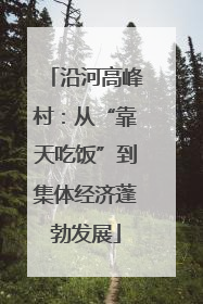 沿河高峰村：从“靠天吃饭”到集体经济蓬勃发展