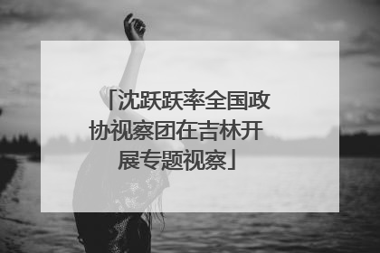 沈跃跃率全国政协视察团在吉林开展专题视察