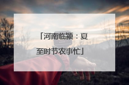 河南临颍：夏至时节农事忙