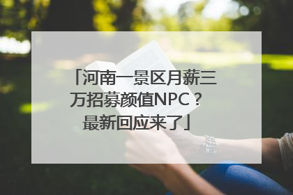 河南一景区月薪三万招募颜值NPC？最新回应来了