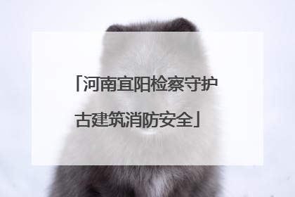 河南宜阳检察守护古建筑消防安全