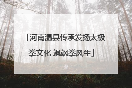 河南温县传承发扬太极拳文化 飒飒拳风生