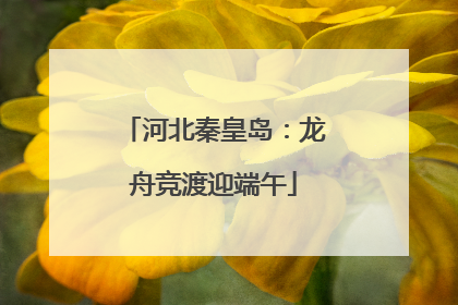 河北秦皇岛：龙舟竞渡迎端午