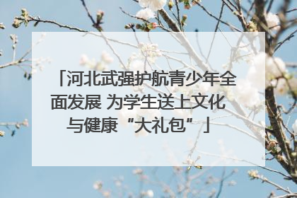 河北武强护航青少年全面发展 为学生送上文化与健康“大礼包”
