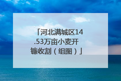 河北满城区14.53万亩小麦开镰收割（组图）