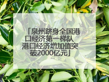 泉州跻身全国港口经济第一梯队 港口经济增加值突破2000亿元