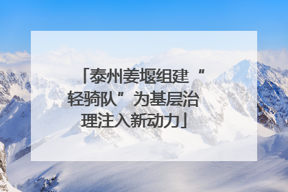 泰州姜堰组建“轻骑队”为基层治理注入新动力