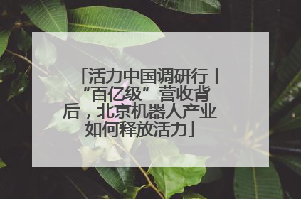 活力中国调研行丨 “百亿级”营收背后，北京机器人产业如何释放活力