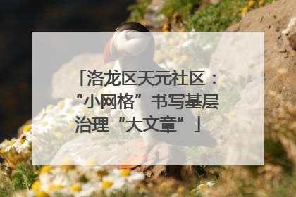 洛龙区天元社区：“小网格”书写基层治理“大文章”