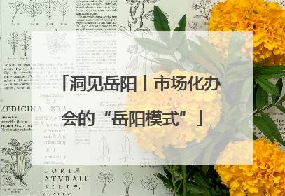 洞见岳阳丨市场化办会的“岳阳模式”