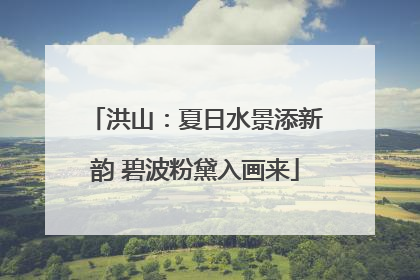 洪山：夏日水景添新韵 碧波粉黛入画来