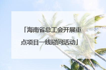 海南省总工会开展重点项目一线慰问活动