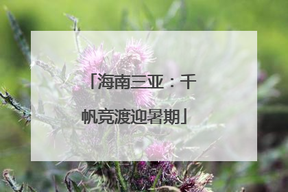 海南三亚：千帆竞渡迎暑期