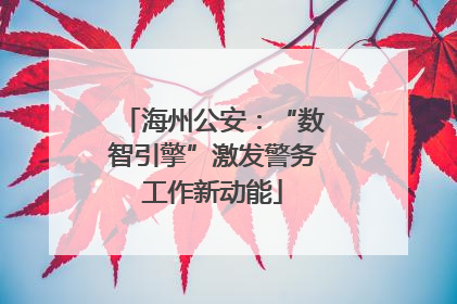 海州公安：“数智引擎”激发警务工作新动能