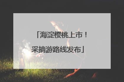 海淀樱桃上市！采摘游路线发布