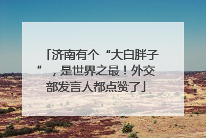济南有个“大白胖子”，是世界之最！外交部发言人都点赞了