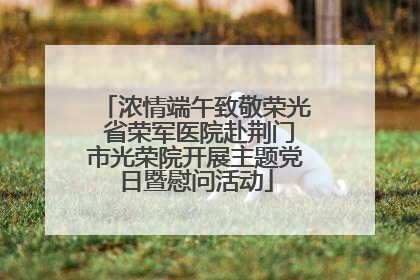 浓情端午致敬荣光 省荣军医院赴荆门市光荣院开展主题党日暨慰问活动