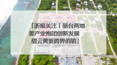 浙报关注丨丽台两地姜产业抱团创新发展 缙云黄姜跨界俏销