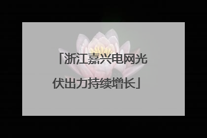 浙江嘉兴电网光伏出力持续增长
