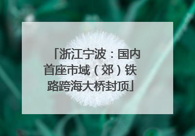 浙江宁波：国内首座市域（郊）铁路跨海大桥封顶