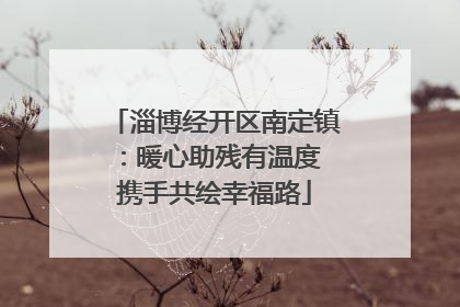 淄博经开区南定镇：暖心助残有温度 携手共绘幸福路