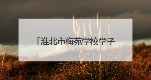 淮北市梅苑学校学子走进淮北市检察院沉浸式感受司法魅力