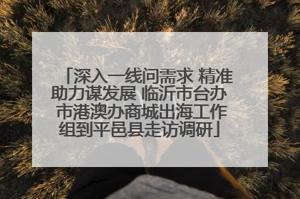 深入一线问需求 精准助力谋发展 临沂市台办 市港澳办商城出海工作组到平邑县走访调研