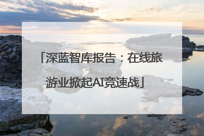 深蓝智库报告：在线旅游业掀起AI竞速战