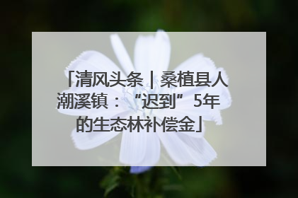 清风头条｜桑植县人潮溪镇：“迟到”5年的生态林补偿金