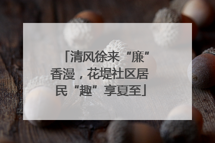 清风徐来“廉”香漫，花堤社区居民“趣”享夏至