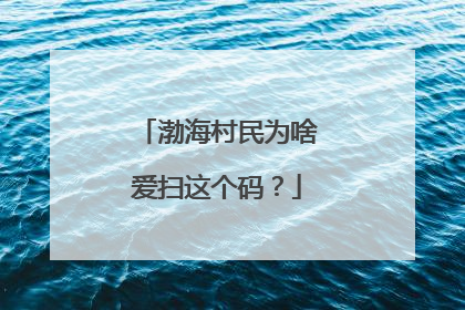 渤海村民为啥爱扫这个码？