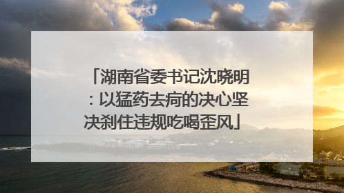 湖南省委书记沈晓明：以猛药去疴的决心坚决刹住违规吃喝歪风