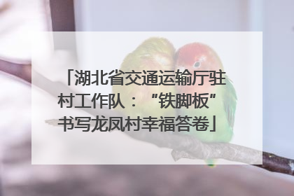 湖北省交通运输厅驻村工作队：“铁脚板”书写龙凤村幸福答卷