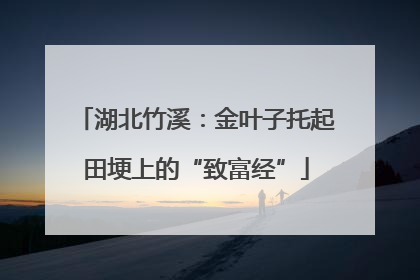 湖北竹溪：金叶子托起田埂上的“致富经”
