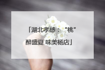 湖北孝感：“桃”醉盛夏 味美杨店